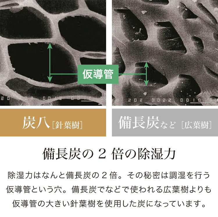 炭 木炭 除湿 調湿 脱臭 消臭剤 湿気 対策 結露 炭八4種類の組み合わせセット Aセット 大袋 室内用 押入れ用 タンス用(代引不可)