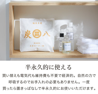 炭 木炭 除湿 調湿 脱臭 消臭剤 湿気 対策 結露 炭八小袋 10個セット 炭八スマート 炭 下駄箱 炭八お試し 車内消臭(代引不可)