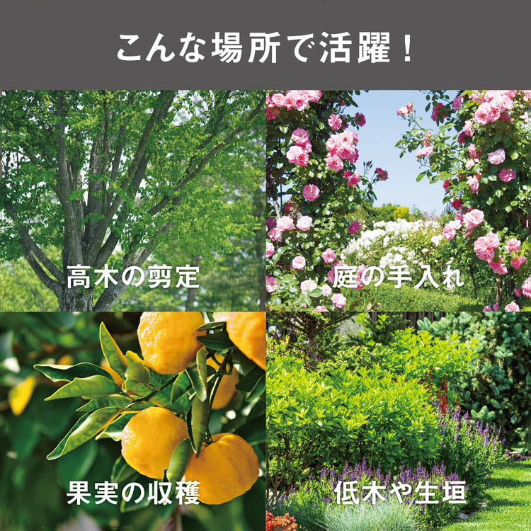 ムサシ 替刃式 高枝切り鋏 アンビル刃 伸縮式 1.8m~3m 高枝切りばさみ 高枝切ばさみ 高枝切りバサミ 剪定鋏 園芸ばさみ 園芸鋏 NO.621 ガーデニング 庭木 果実 花 カット 収穫(代引不可)