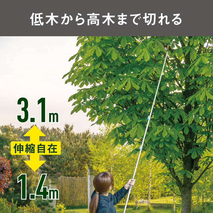ムサシ 替刃式 高枝切り鋏 アンビル刃 伸縮式 1.4m~3.1m 高枝切りばさみ 高枝切ばさみ 高枝切りバサミ 剪定鋏 園芸ばさみ 園芸鋏 NO.631 ガーデニング 庭木 果実 花 カット 収穫(代引不可)
