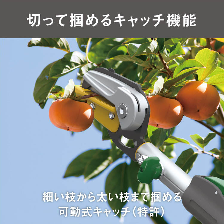 ムサシ 替刃式 高枝切り鋏 アンビル刃 伸縮式 1.4m~3.1m 高枝切りばさみ 高枝切ばさみ 高枝切りバサミ 剪定鋏 園芸ばさみ 園芸鋏 NO.631 ガーデニング 庭木 果実 花 カット 収穫(代引不可)