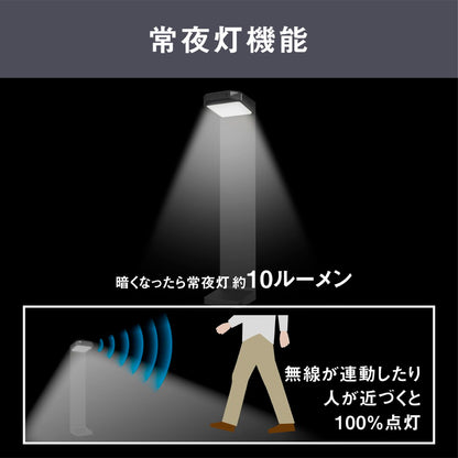 ムサシ RITEX ライテックス ソーラー式無線連動ガーデンセンサーライト 送受信型 W-640 musashi 屋外 防犯ライト 庭 玄関 ガレージ 駐車場 つながる無線連動 最大16台(代引不可)