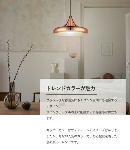 EGLO ペンダントライト おしゃれ 北欧 ダイニング 照明 キッチン ダクトレール LED 電球対応 照明器具 間接照明 天井照明 EGLO CORETTO 40cm 204426J 電球別売(代引不可)