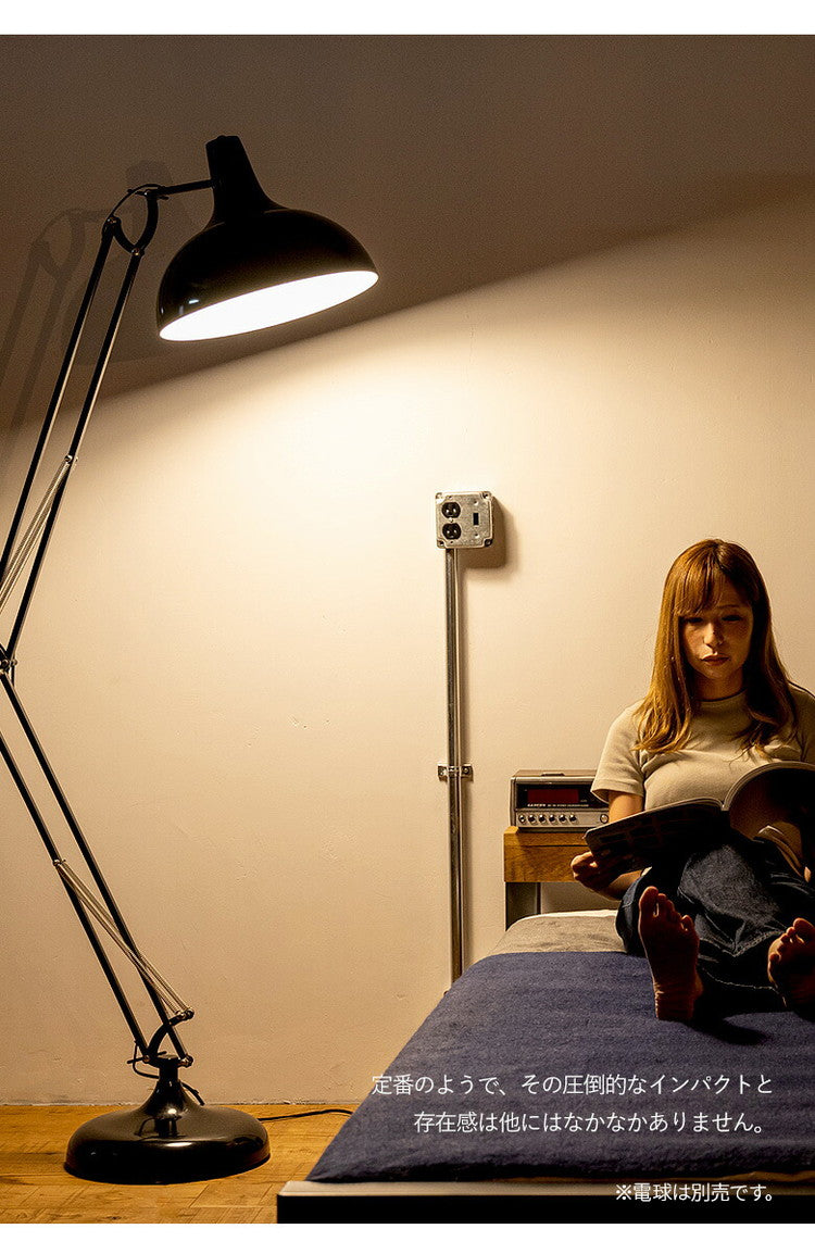 EGLO フロアライト スタンドライト おしゃれ 北欧 間接照明 フロアスタンド 寝室 リビング フロアランプ アンティーク LED インテリア 照明 EGLO BORGILLIO ブラック 黒 204566J 電球別売(代引不可)