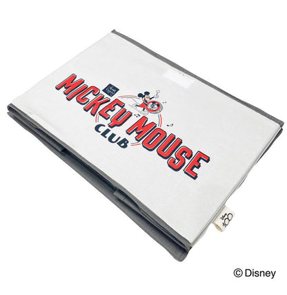 ディズニー 100周年デザイン 収納ボックス ミッキ-マウスクラブ ワールドスタンプ スケッチ 収納ケース 収納ボックス 大人用 子供用 兼用 D100 Disney(代引不可)