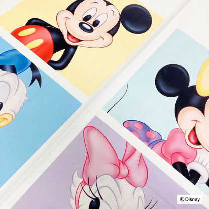 ディズニー のれん レトロ ミッキー&フレンズ ブロック キャラクター Disney ミッキー ミニー ドナルド デイジー グーフィー(代引不可)