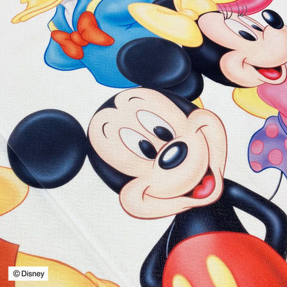 ディズニー のれん レトロ ミッキー&フレンズ ブロック キャラクター Disney ミッキー ミニー ドナルド デイジー グーフィー(代引不可)