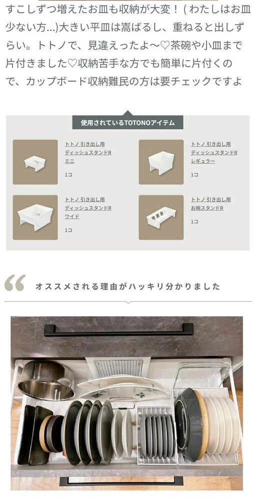 【2024年 新発売】ゴミ袋ホルダー トトノ 引き出し用 ゴミ袋収納ケースR ( ゴミ袋ケース レジ袋収納ケース レジ袋ストッカー ポリ袋ストッカー ポリ袋ホルダー ビニール袋 ごみ袋ホルダー(代引不可)
