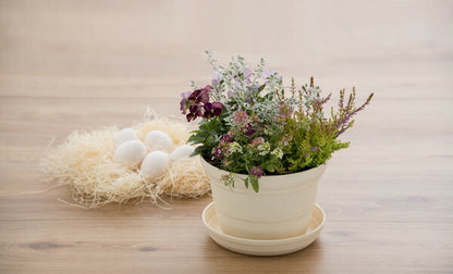 【3個セット】リッチェル ひよっこ ポット 7号 ベージュ