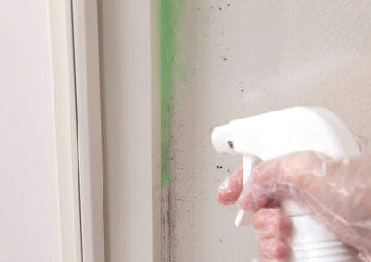 【3個セット】アズマ工業 アズマジック カビ取り洗剤 400ml CH880