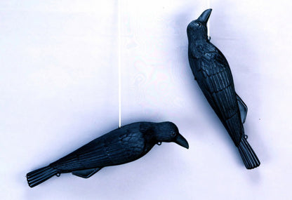 ミツギロン コワガラス ブラック EG-18 カラス 鳥 防鳥 撃退 鳩 ハト 雀 スズメ ゴミ置き場(代引不可)