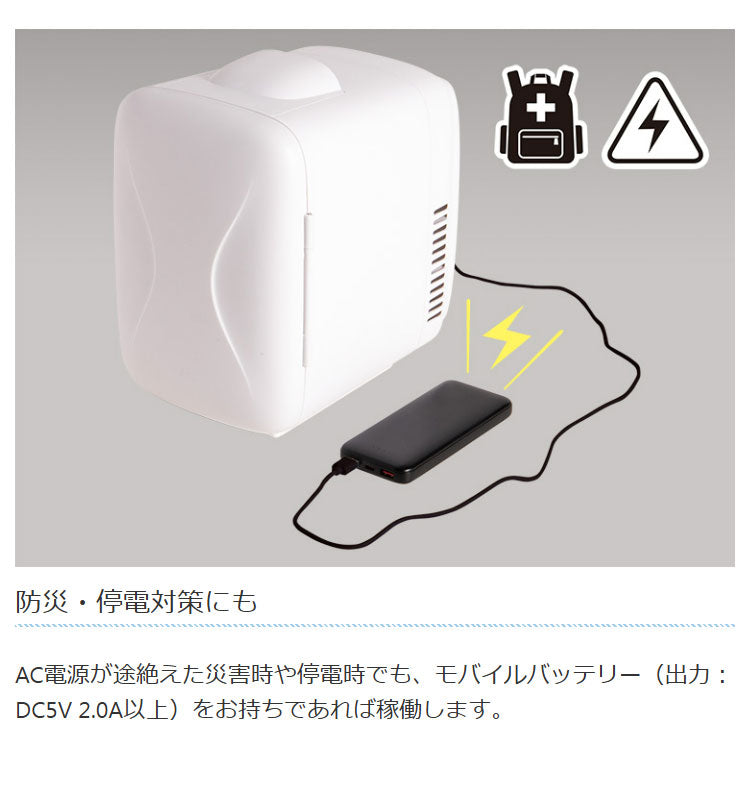 ライソン LYTHON 4L保冷温庫 冷子と温子 ペルチェ式 USB給電 小型 コンパクト 仕切り ドアポケット デスク 机上 キャンプ アウトドア モバイルバッテリー可 自宅 オフィス KDFW-005W