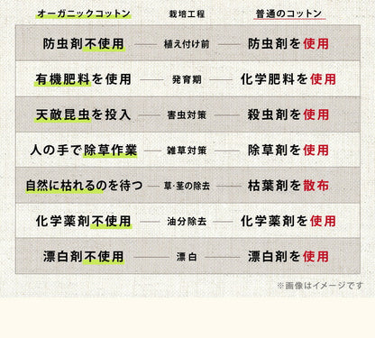 オーガニックコットン100% 洗えるベッド用品 3点セット セミシングル 天然綿100％ 洗替 セミシングル ベッドパット1枚 ボックスシーツ2枚 ボックスシーツ マットレスカバー カバー 丸洗い 通年 快適 おしゃれ 寝具セット