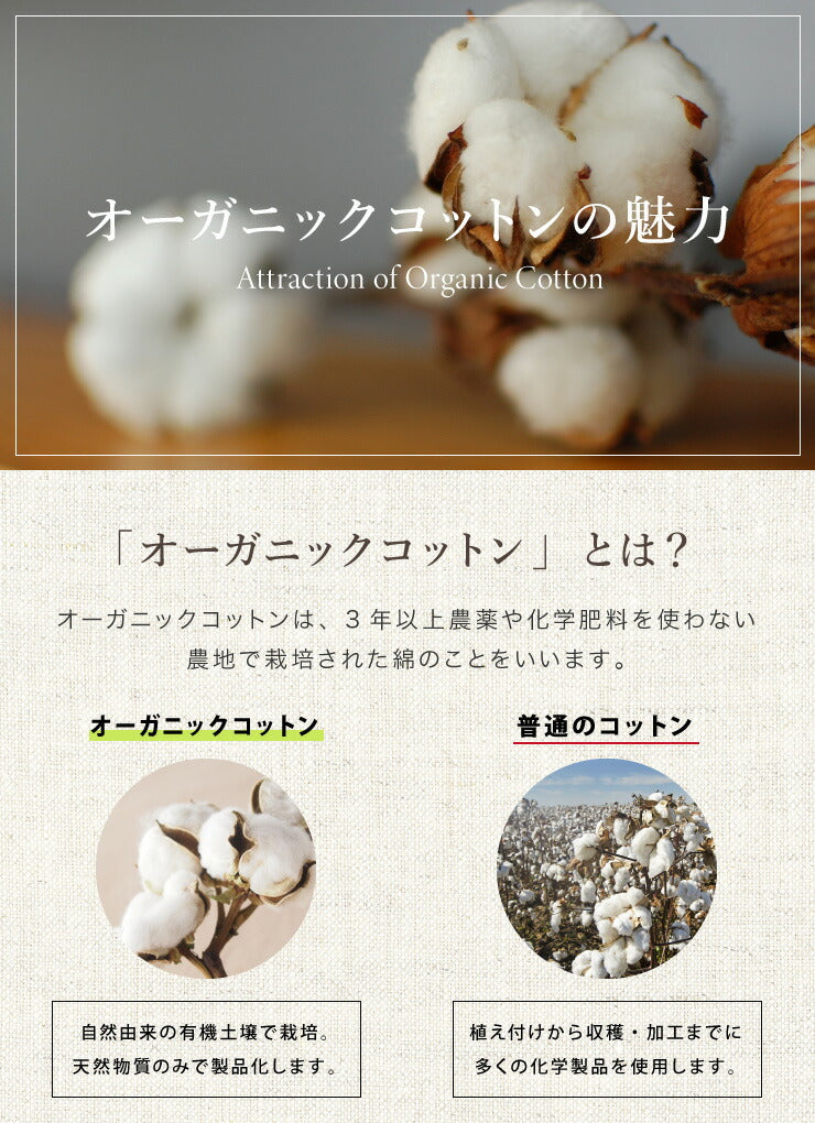 ごろ寝マット 洗える 80×195cm セミシングル 綿100% オーガニックコットン 天然素材 中綿入り 吸湿速乾 消臭 折りたたみ