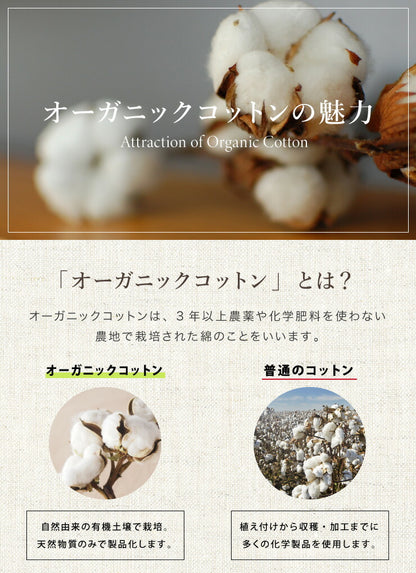 ごろ寝マット 洗える 80×195cm セミシングル 綿100% オーガニックコットン 天然素材 中綿入り 吸湿速乾 消臭 折りたたみ