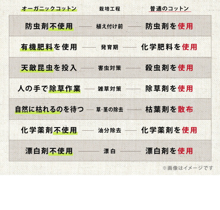 ごろ寝マット 洗える 80×195cm セミシングル 綿100% オーガニックコットン 天然素材 中綿入り 吸湿速乾 消臭 折りたたみ