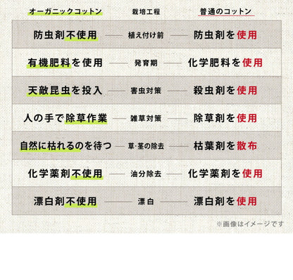 ごろ寝マット 洗える 80×195cm セミシングル 綿100% オーガニックコットン 天然素材 中綿入り 吸湿速乾 消臭 折りたたみ