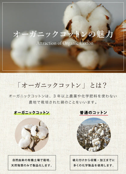 ごろ寝マット 洗える 80×195cm セミシングル 綿100% オーガニックコットン 天然素材 中綿入り 吸湿速乾 消臭 折りたたみ