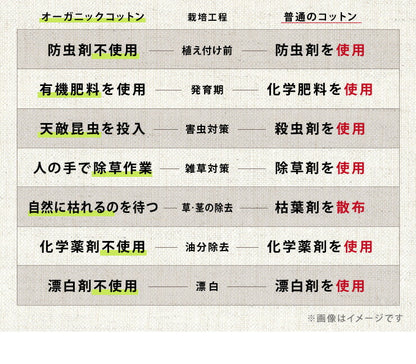 ごろ寝マット 洗える 80×195cm セミシングル 綿100% オーガニックコットン 天然素材 中綿入り 吸湿速乾 消臭 折りたたみ
