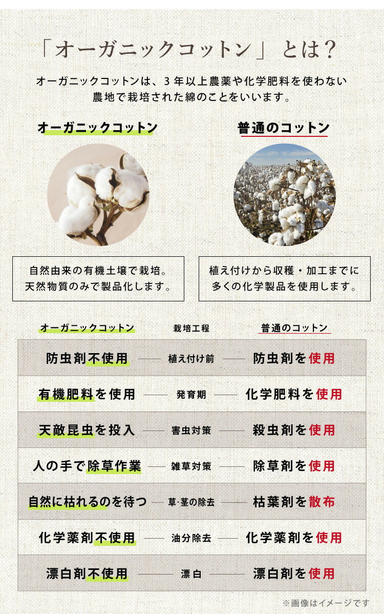 布団セット 5点セット ダブル オーガニックコットン コットン 綿 再生ポリエステル 3層構造 吸湿速乾 布団4点セット 布団 セット ふとんセット 掛け布団 敷布団 敷きパッド