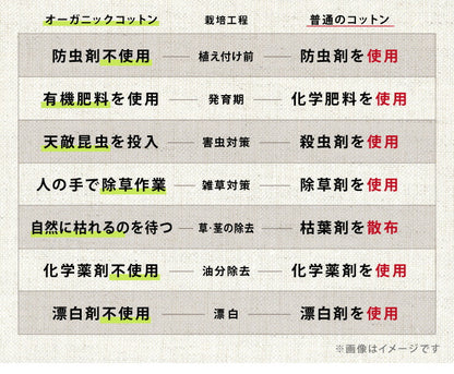 布団カバーセット シングル 3点セット 和タイプ ベッドタイプ 綿100% オーガニックコットン 洗える 低ホルムアルデヒド シンプル おしゃれ 布団カバー 枕カバー 敷き布団カバー 掛け布団カバー ボックスシーツ