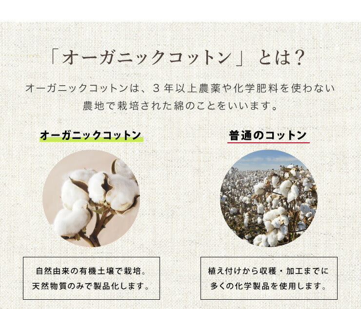 ベッドパッド ボックスシーツ 敷きパッド パッド一体型 綿100% オーガニックコットン シングル S 洗える カバー 100×200