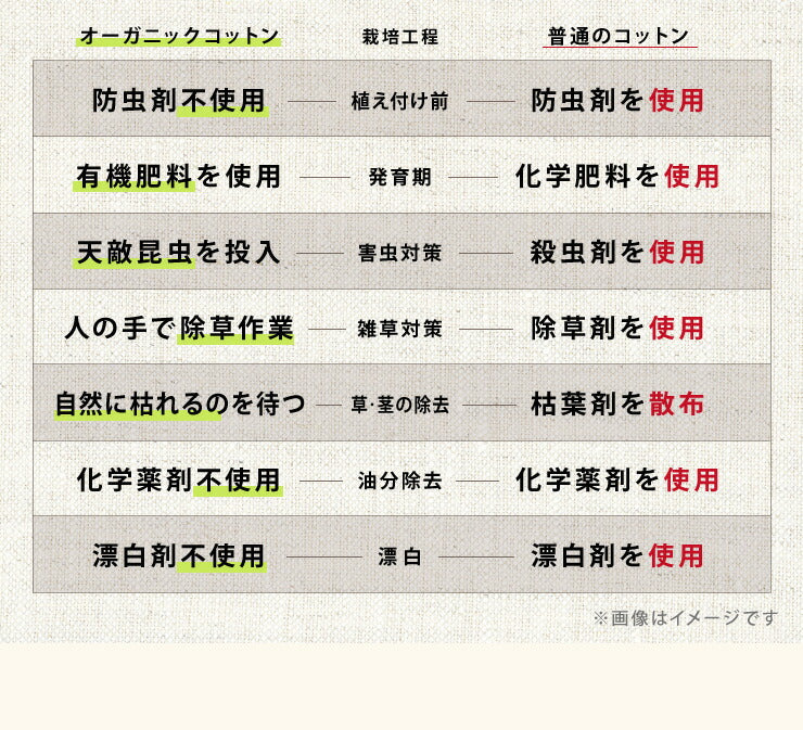 ベッドパッド ボックスシーツ 敷きパッド パッド一体型 綿100% オーガニックコットン シングル S 洗える カバー 100×200