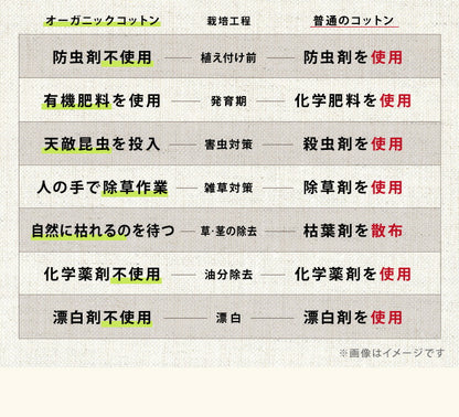 ベッドパッド ボックスシーツ 敷きパッド パッド一体型 綿100% オーガニックコットン シングル S 洗える カバー 100×200