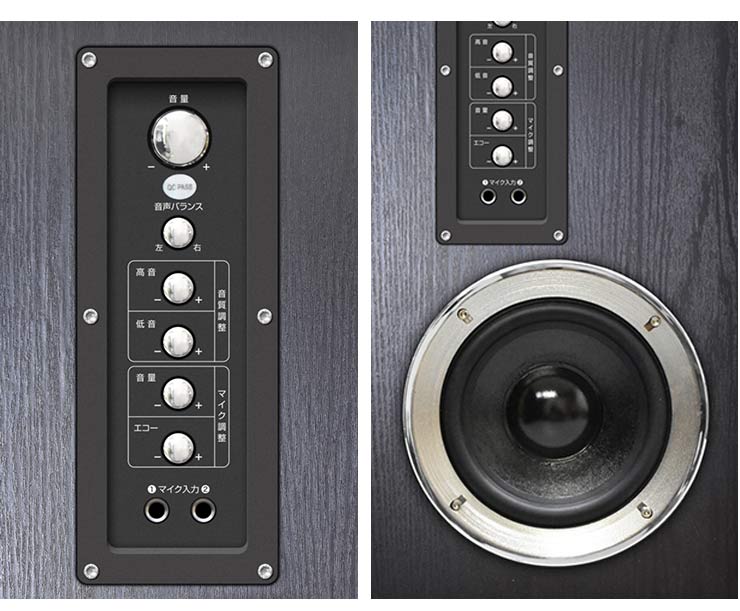 クマザキエイム アンプ内蔵タワースピーカー ヴァベル VABEL TS-120BW スピーカー 大音量 テレビ DVD ブルーレイ カラオケ