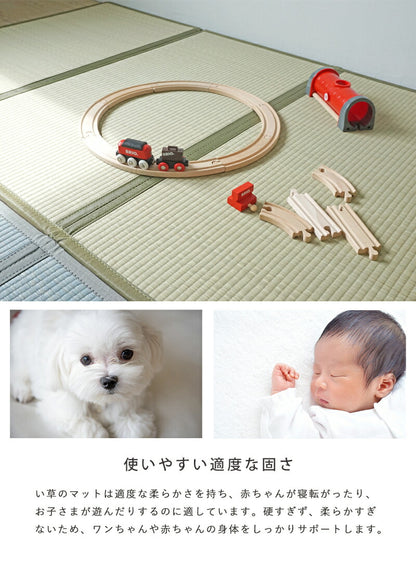 い草 4つ折りマット 厚手 赤ちゃん 100×210 寝ござ い草マット マットレス 夏用 夏ラグ カーペット 四つ折り 天然素材 ラグ ペット 父の日 い草ラグ 布団の下 敷く 畳める マット ラグ