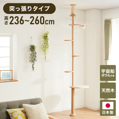 【5%OFF】日本製 キャットタワー 突っ張り型 木製 高さ240~250cm 宇宙船付 滑り止め 省スペース スリム シンプル 高耐久性 高強度 爪とぎ 爪砥ぎ 木目 ウッド キャットツリー 猫タワー 猫用 猫 ねこ 国産