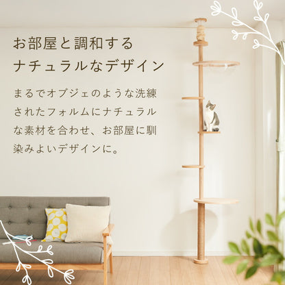 【5%OFF】日本製 キャットタワー 突っ張り型 木製 高さ240~250cm 宇宙船付 滑り止め 省スペース スリム シンプル 高耐久性 高強度 爪とぎ 爪砥ぎ 木目 ウッド キャットツリー 猫タワー 猫用 猫 ねこ 国産