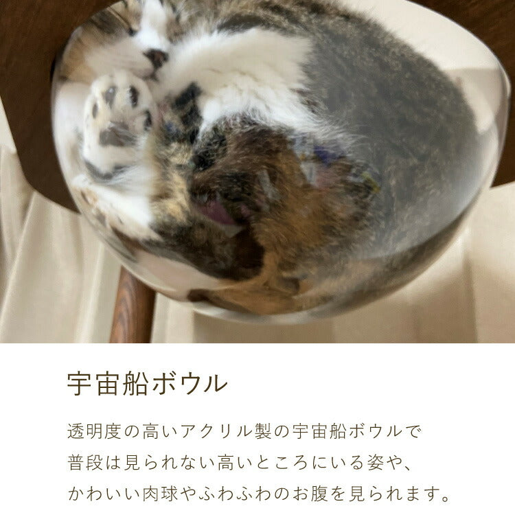 【5%OFF】日本製 キャットタワー 突っ張り型 木製 高さ240~250cm 宇宙船付 滑り止め 省スペース スリム シンプル 高耐久性 高強度 爪とぎ 爪砥ぎ 木目 ウッド キャットツリー 猫タワー 猫用 猫 ねこ 国産