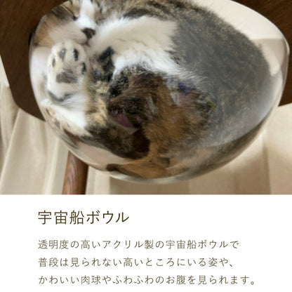 【5%OFF】日本製 キャットタワー 突っ張り型 木製 高さ240~250cm 宇宙船付 滑り止め 省スペース スリム シンプル 高耐久性 高強度 爪とぎ 爪砥ぎ 木目 ウッド キャットツリー 猫タワー 猫用 猫 ねこ 国産
