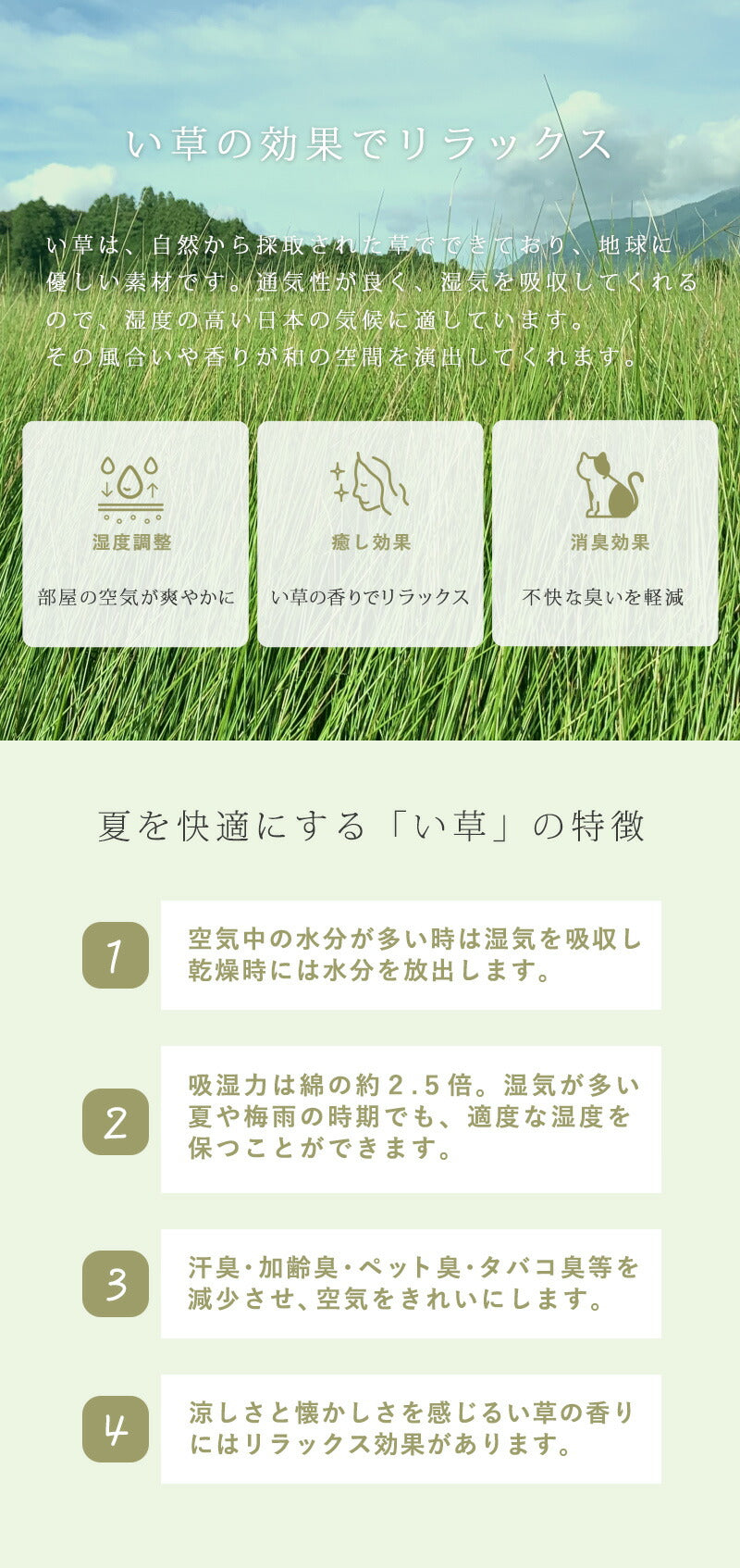 い草 イ草 ソファーパッド 夏 シート クッション いぐさ マット ござ 香り クッション 座布団 涼しい 小さいマット ソファパッド 3人掛け 150cm ざぶとん ソファーシート チェアパッド