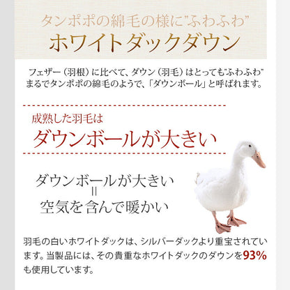 羽毛ふとん 二層キルト構造 1.8kg 日本製 CILゴールドラベル ダブル 400dp ホワイトダック ダウン93% SEKアレルGプラス