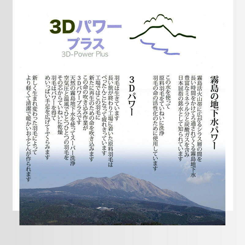 羽毛ふとん 二層キルト構造 1.6kg 日本製 CILゴールドラベル セミダブル 400dp ホワイトダック ダウン93% SEKアレルGプラス