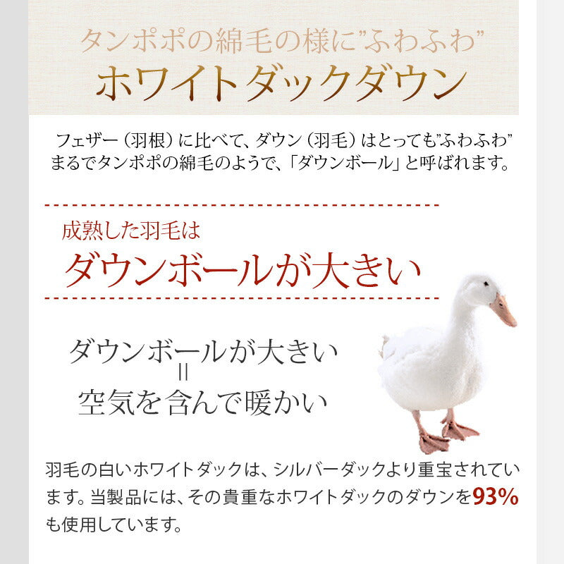 羽毛ふとん 二層キルト構造 1.6kg 日本製 CILゴールドラベル セミダブル 400dp ホワイトダック ダウン93% SEKアレルGプラス