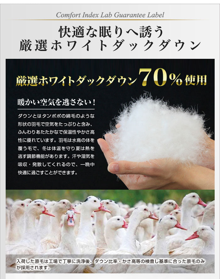 日本製 羽毛布団 ダブル 掛けふとん 【CILグリーンラベル】 ホワイトダックダウン 羽毛のためのアレルGプラス 3年保証