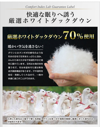 羽毛ふとん 立体キルト構造 1.4kg 日本製 CILレッドラベル ダブル ホワイトダック ダウン70％ 300dp SEKアレルGプラス イスタシアダッグ 3Dパワープラス オゾン加工 3ヶ年保証