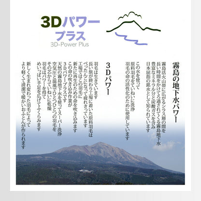 羽毛ふとん 立体キルト構造 増量 1.5kg 日本製 CILシルバーラベル セミダブル ホワイトダック ダウン90％ 300dp SEKアレルGプラス 3Dパワープラス ロング 羽毛布団 布団 掛け布団 羽毛 羽毛掛け布団 3ヶ年保証