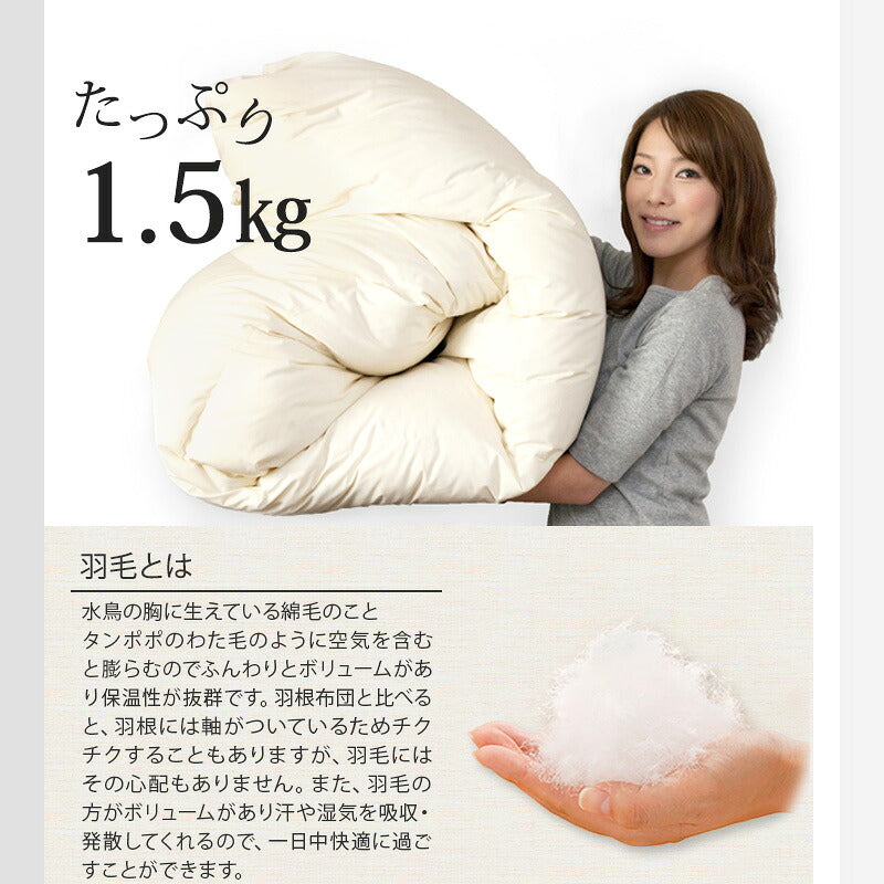 羽毛ふとん 立体キルト構造 増量 1.5kg 日本製 CILシルバーラベル セミダブル ホワイトダック ダウン90％ 300dp SEKアレルGプラス 3Dパワープラス ロング 羽毛布団 布団 掛け布団 羽毛 羽毛掛け布団 3ヶ年保証