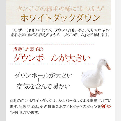 羽毛ふとん 立体キルト構造 増量 1.5kg 日本製 CILシルバーラベル セミダブル ホワイトダック ダウン90％ 300dp SEKアレルGプラス 3Dパワープラス ロング 羽毛布団 布団 掛け布団 羽毛 羽毛掛け布団 3ヶ年保証