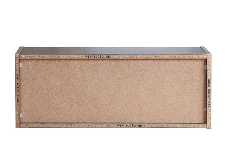 白井産業 ぺスカレージ リール キャビネット 収納 釣り具収納 釣り 幅75.2 奥行き27.1 高さ29.1 収納 ロータイプ ブラック 黒 おしゃれ ガラス扉 ラック(代引不可)