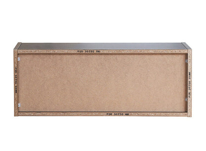 白井産業 ぺスカレージ リール キャビネット 収納 釣り具収納 釣り 幅75.2 奥行き27.1 高さ29.1 収納 ロータイプ ブラック 黒 おしゃれ ガラス扉 ラック(代引不可)