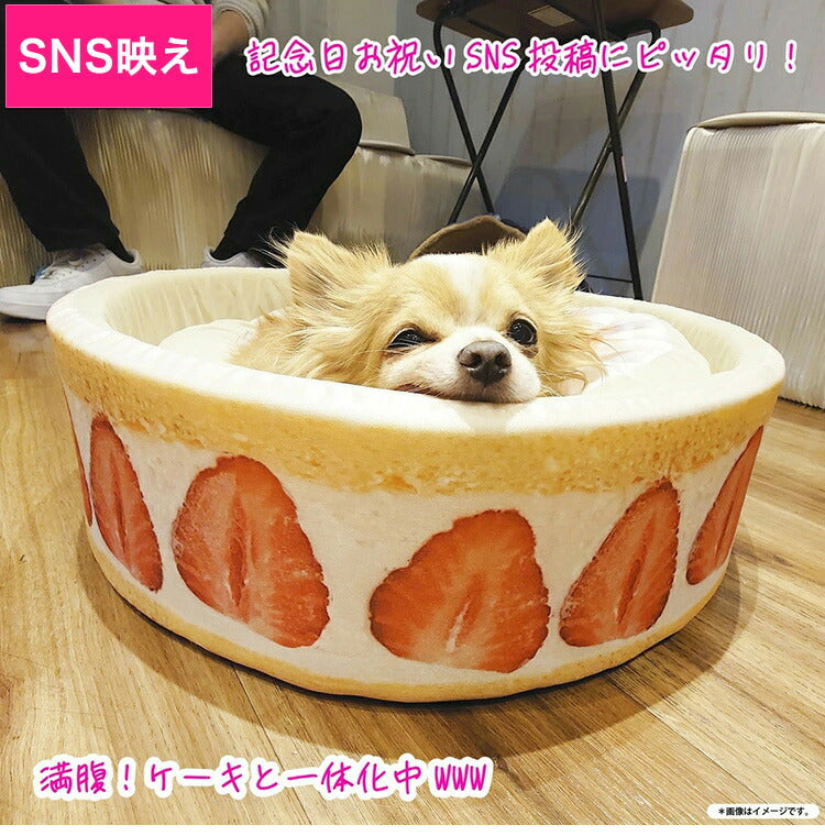 ペットベッド ペットソファ ケーキ型 スイーツ おもしろ 犬 猫 小動物 ペット インテリア かわいい おしゃれ ハウス ペット クッション ペット用品 SNS 映え バズる 誕生日 記念日 ギフト モチーフ