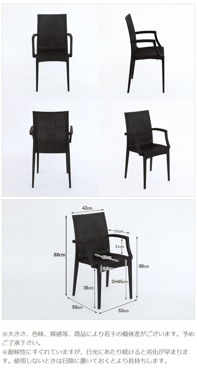 ガーデンチェア 屋外 肘掛け アウトドア バーベキュー キャンプ ガーデン 庭 ラタンチェア テラス 黒 ブラック ダイニングチェア 椅子 パーソナルチェア 北欧 西海岸 籐ラタン風 アジアン(代引不可)
