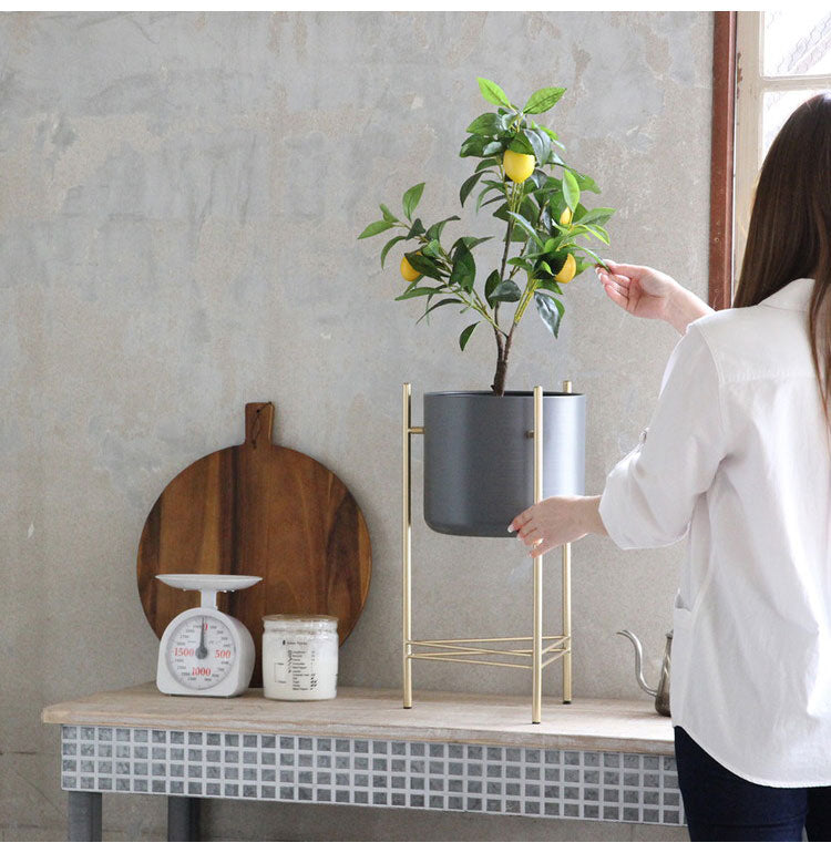 ゴールドアイアン 脚付きプランター台 Sサイズ フラワースタンド グレー ポット 鉢植え アイアンスタンド 花台 グリーン 植物 ディスプレイ ゴールドステム おしゃれ
