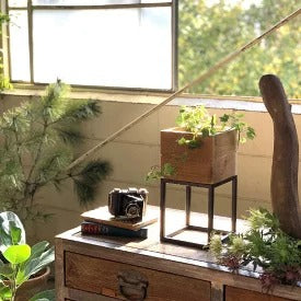 プランター台 おしゃれ インダストリアル スクエアSサイズ スクエアプランターボックススタンド 幅18 奥行18 高さ35 木×アイアン 園芸ラック 花台 収納 ラック 棚(代引不可)