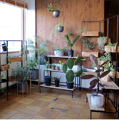 天然木 プランター台 2段 おしゃれ インダストリアル パイン材×アイアン ディスプレイスタンド ディスプレイラック 棚 プランタースタンド フラワースタンド 園芸ラック 室内 屋内